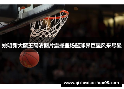 姚明新大魔王高清图片震撼登场篮球界巨星风采尽显