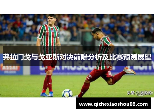 弗拉门戈与戈亚斯对决前瞻分析及比赛预测展望